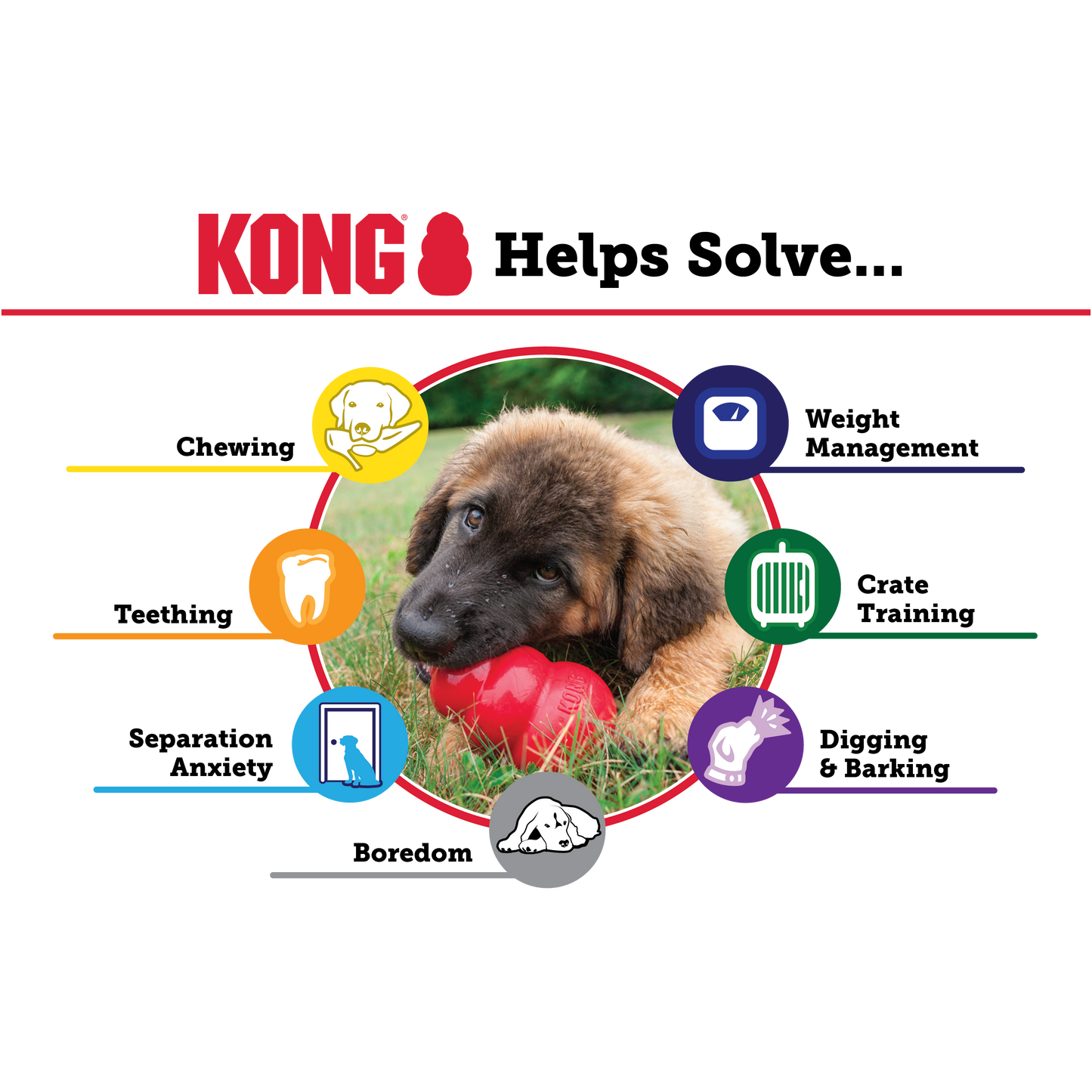 What is KONG good for