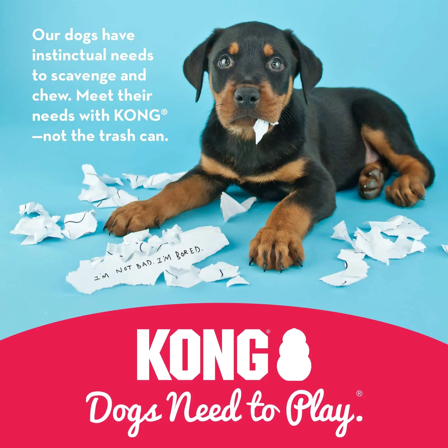 Kong Extreme, extremely durable rubber chew toy designed to entertain and soothe dogs, perfect for treat stuffing and freezing.