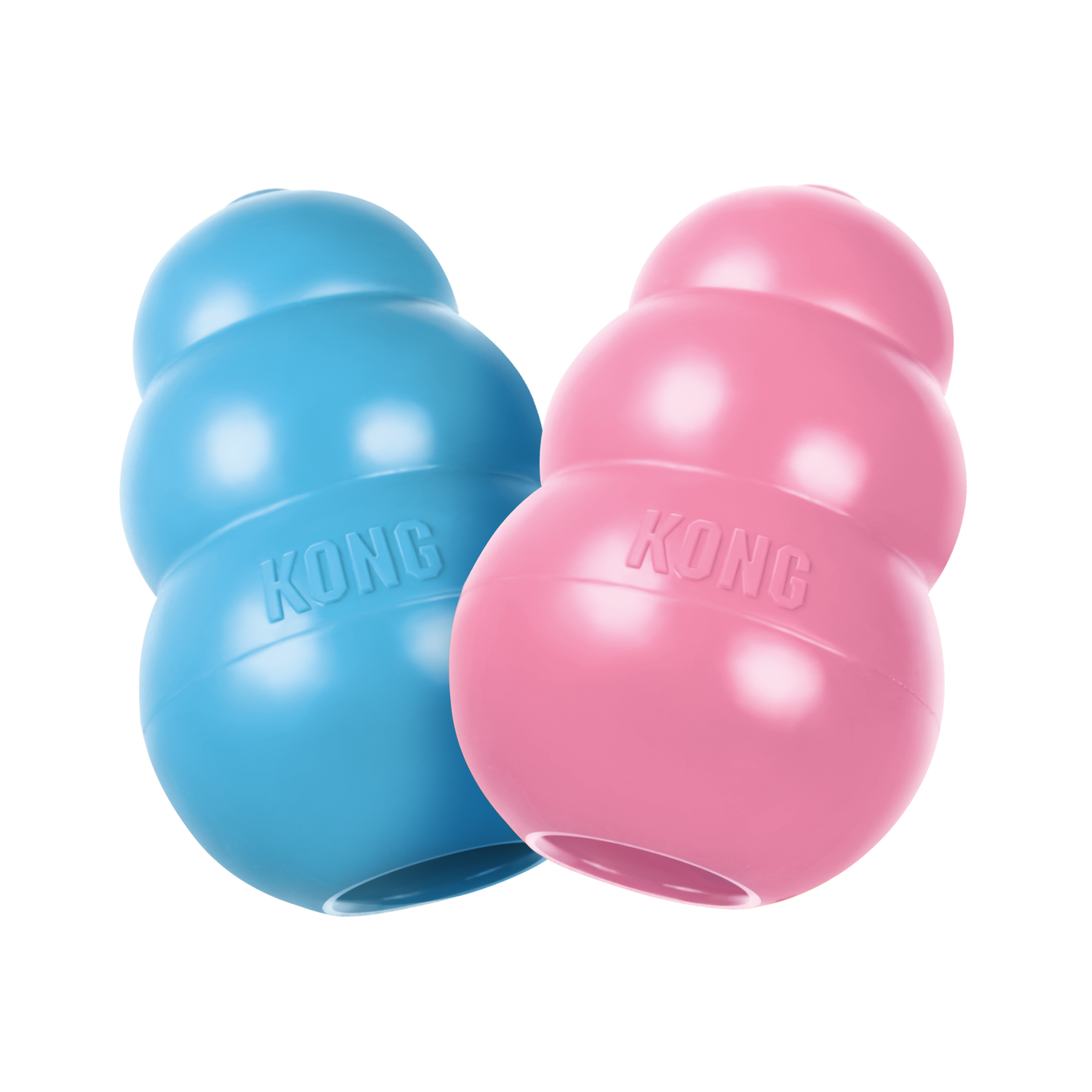 puppy KONG feeder toys pink and blue