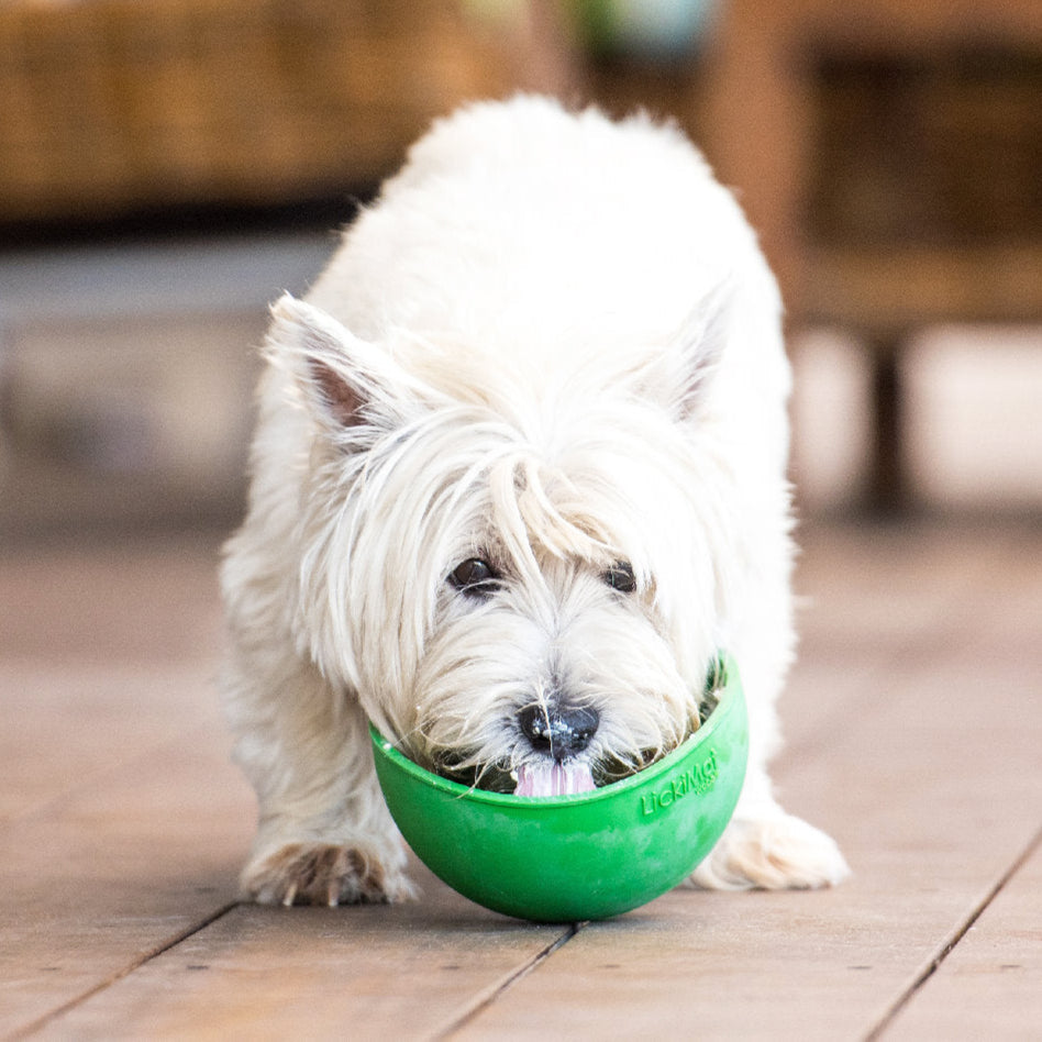 Shop All Dog Enrichment Toys – Australian Store, Fast Dispatch
