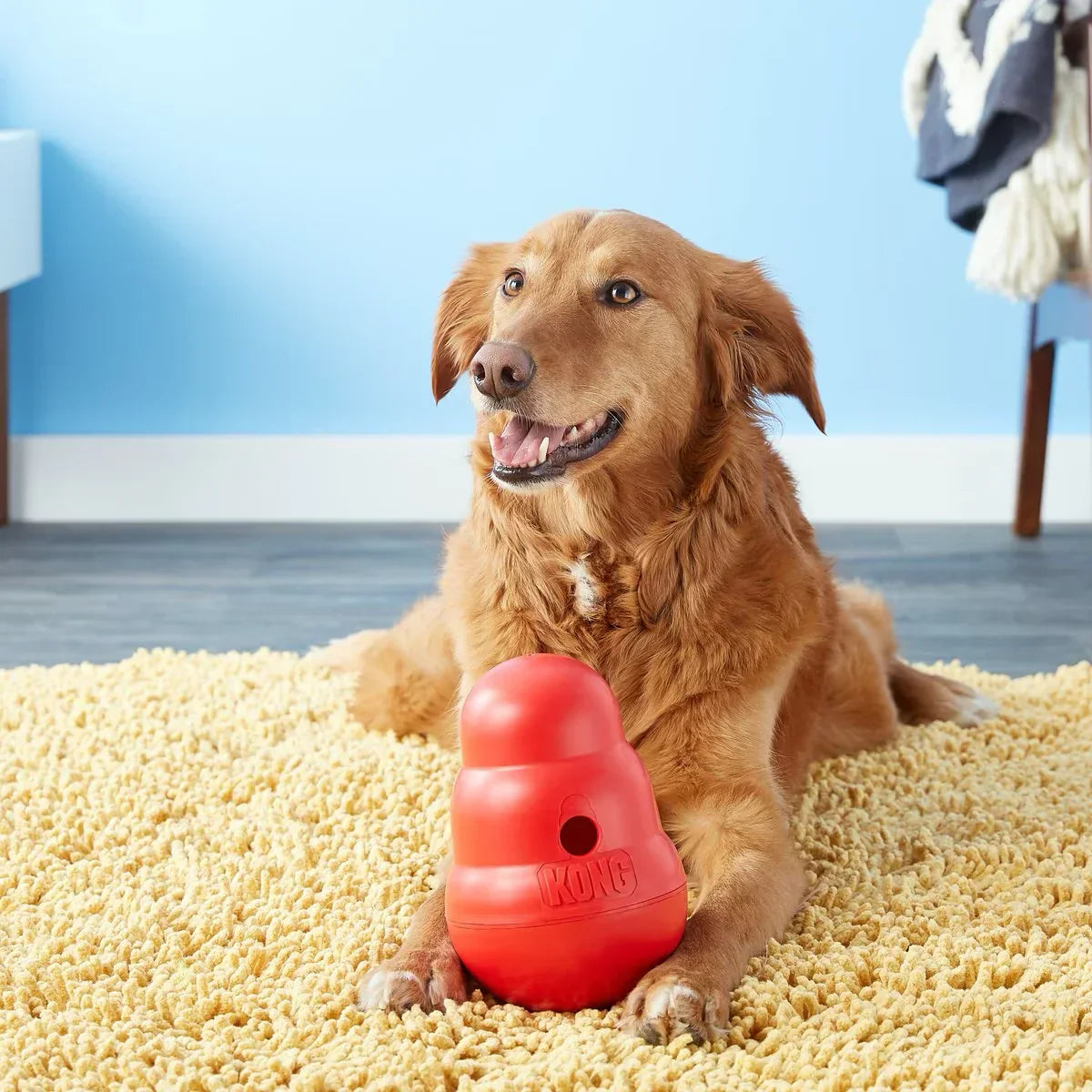 KONG Dog Toys – Durable & Dishwasher Safe