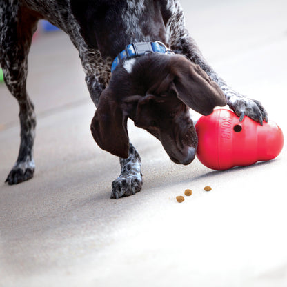 Large dog using KONG wobbler dog toy interactive food dispenser