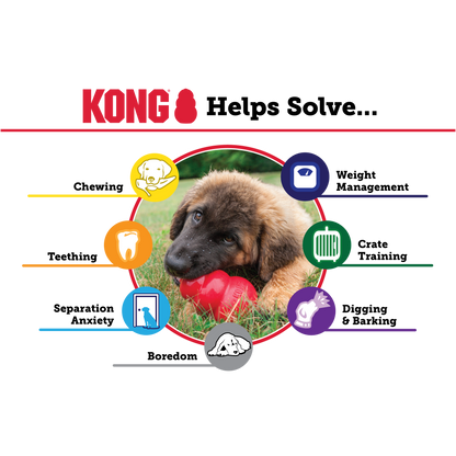 What is KONG good for
