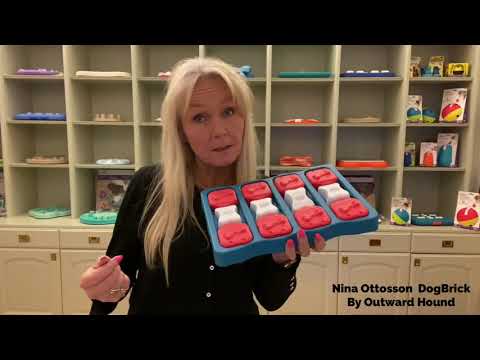 Tutorial for interactive Nina Ottosson Dog Brick Puzzle for dog food, featuring sliding tiles to hide treats and stimulate mental exercise.
