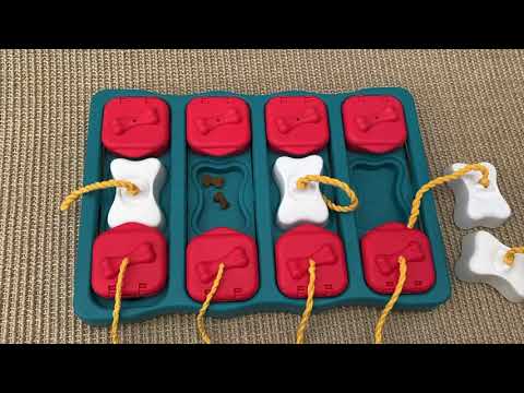 How to use Nina Ottosson dog brick puzzle for dog food, featuring sliding tiles to hide treats and stimulate mental exercise. How to increase difficulty.