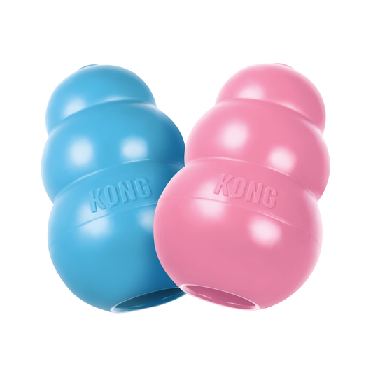 puppy KONG feeder toys pink and blue