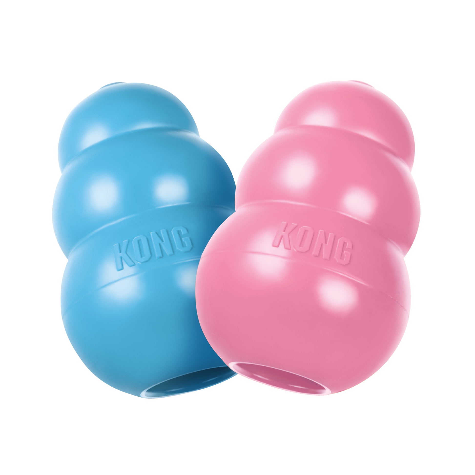 puppy KONG feeder toys pink and blue