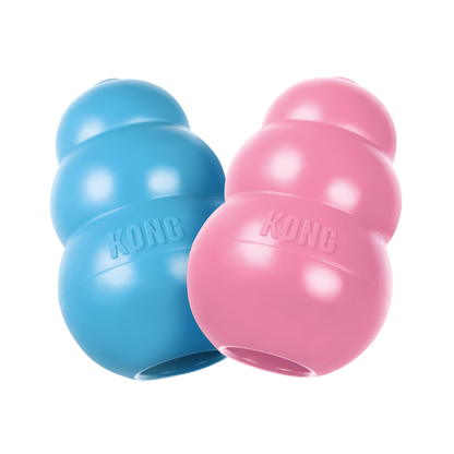 puppy KONG feeder toys pink and blue